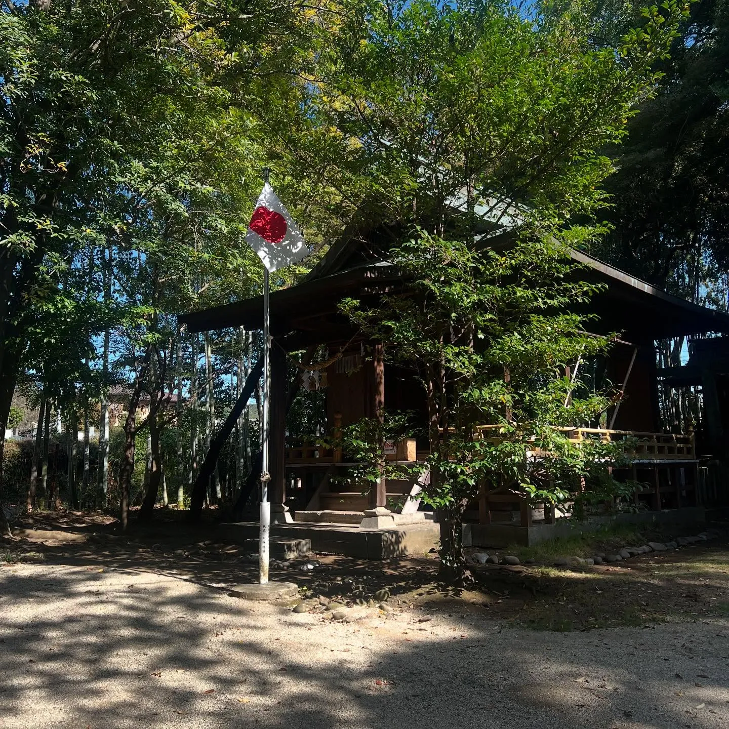 先日、お友達と熊本に✈️