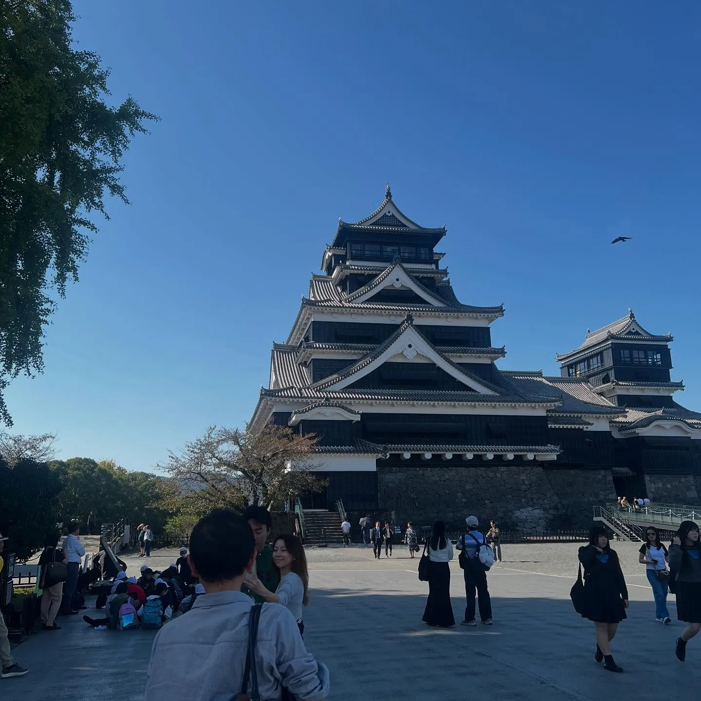 先日、お友達と熊本に✈️